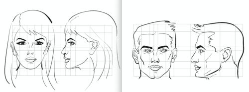 Ilustración comparación entre la frente femenina y la frente masculina