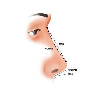 Ilustración sobre las diferencias entre la nariz masculina y la nariz femenina